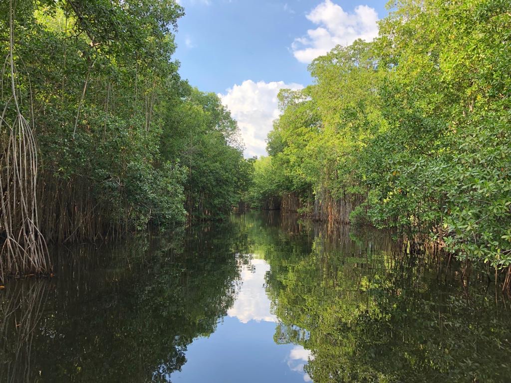 Black River