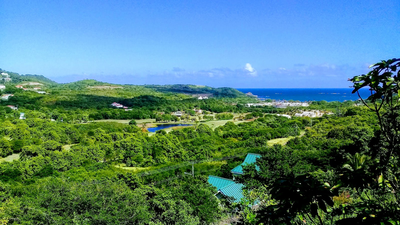 Cap Estate