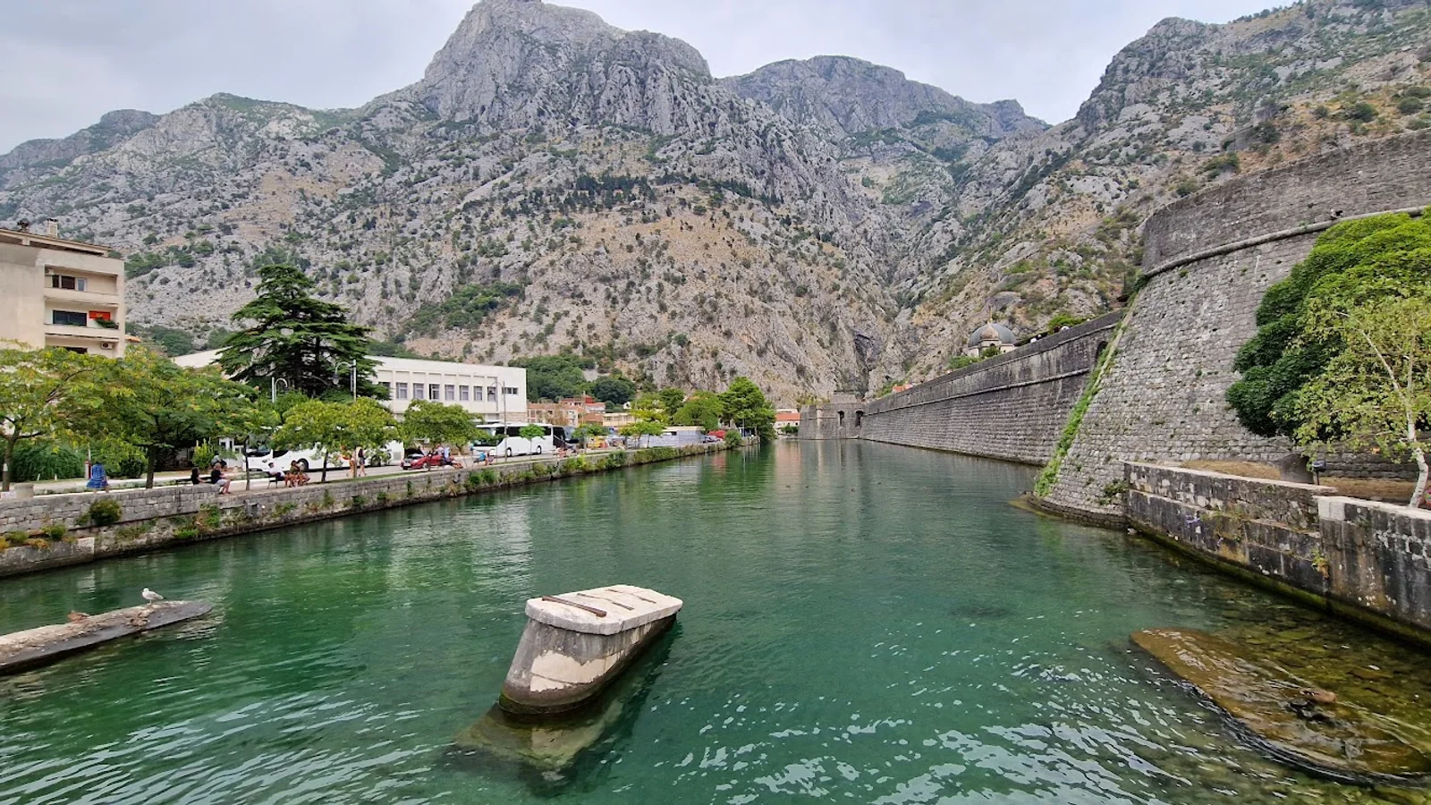 Kotor
