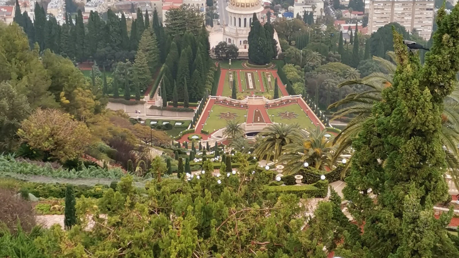 Haifa