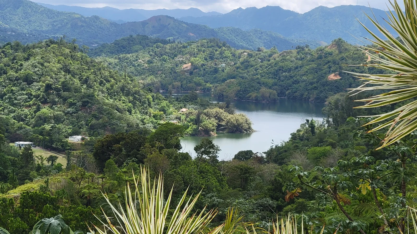 Utuado