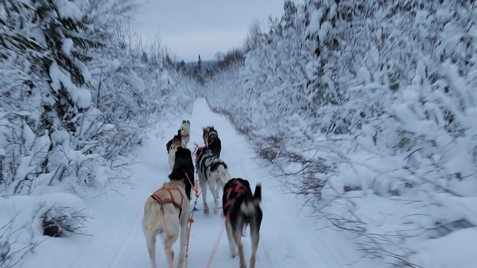 Kiruna
