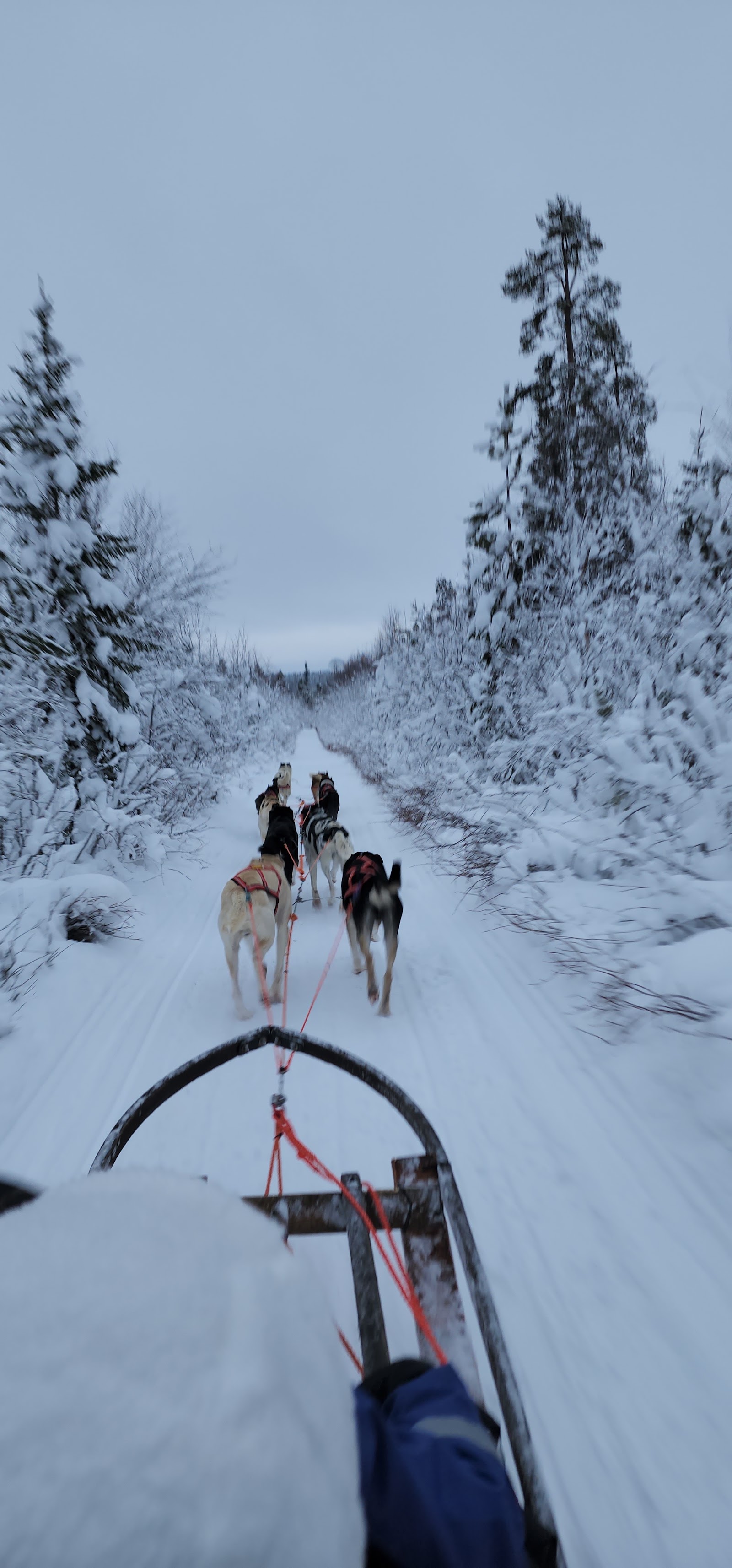 Kiruna