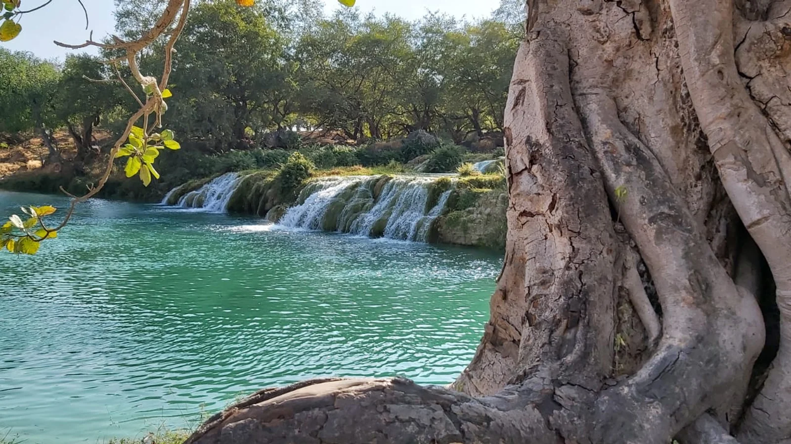 Salalah