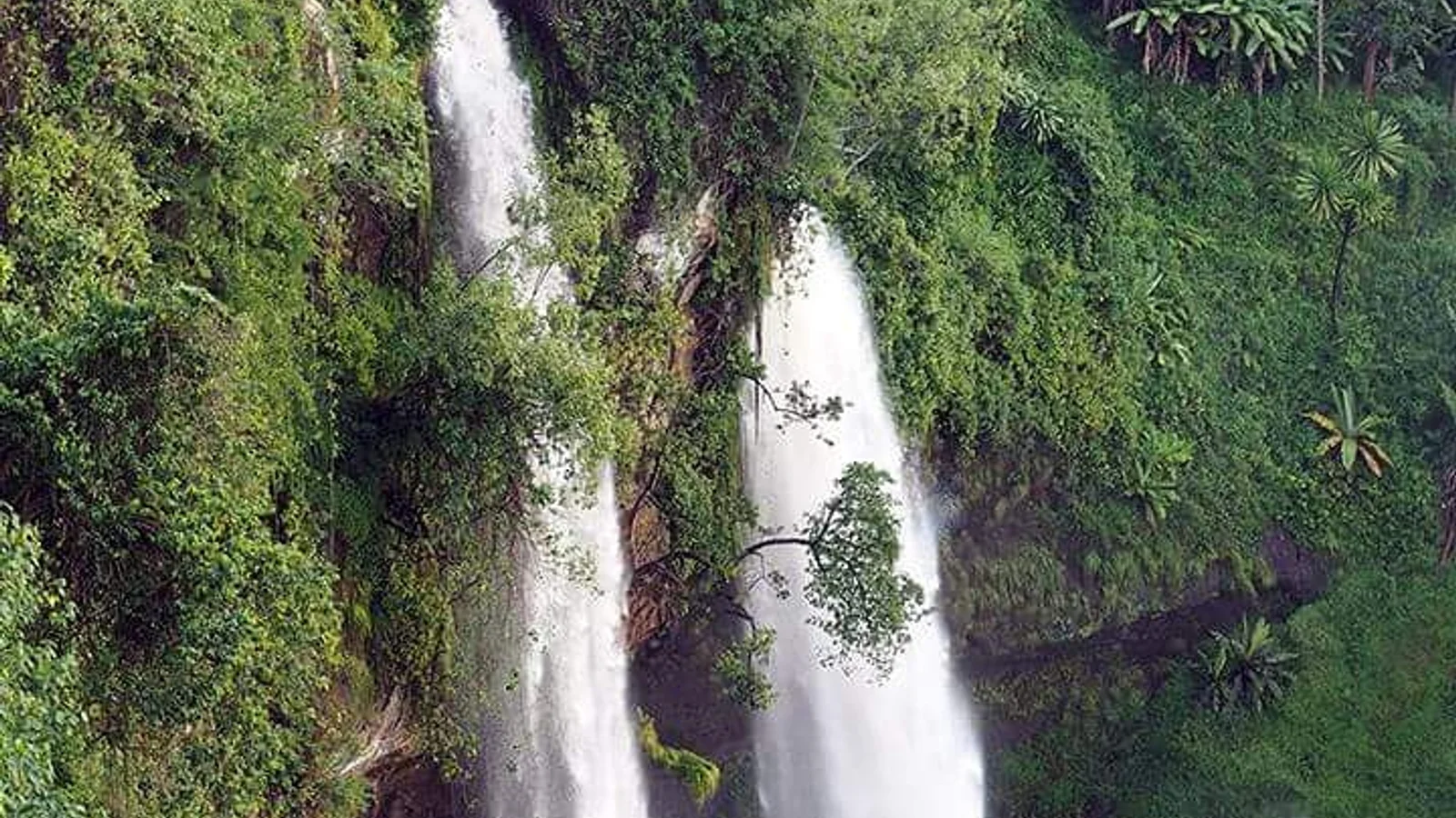 Sipi