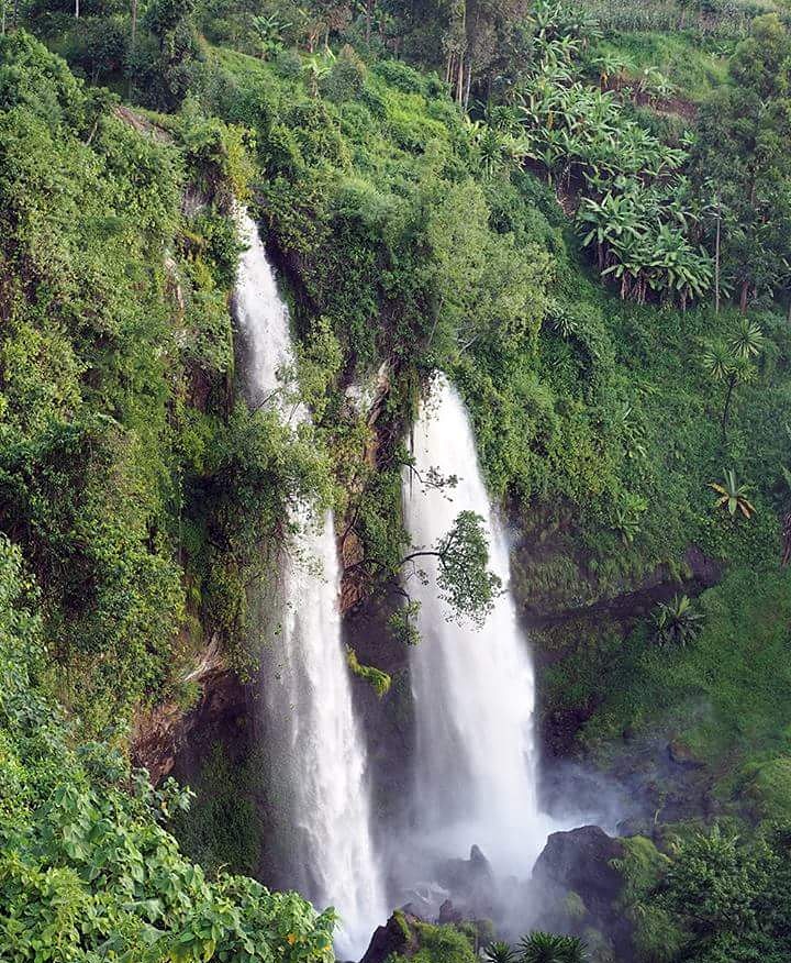 Sipi