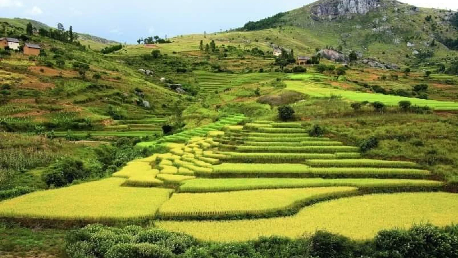 Ambalavao