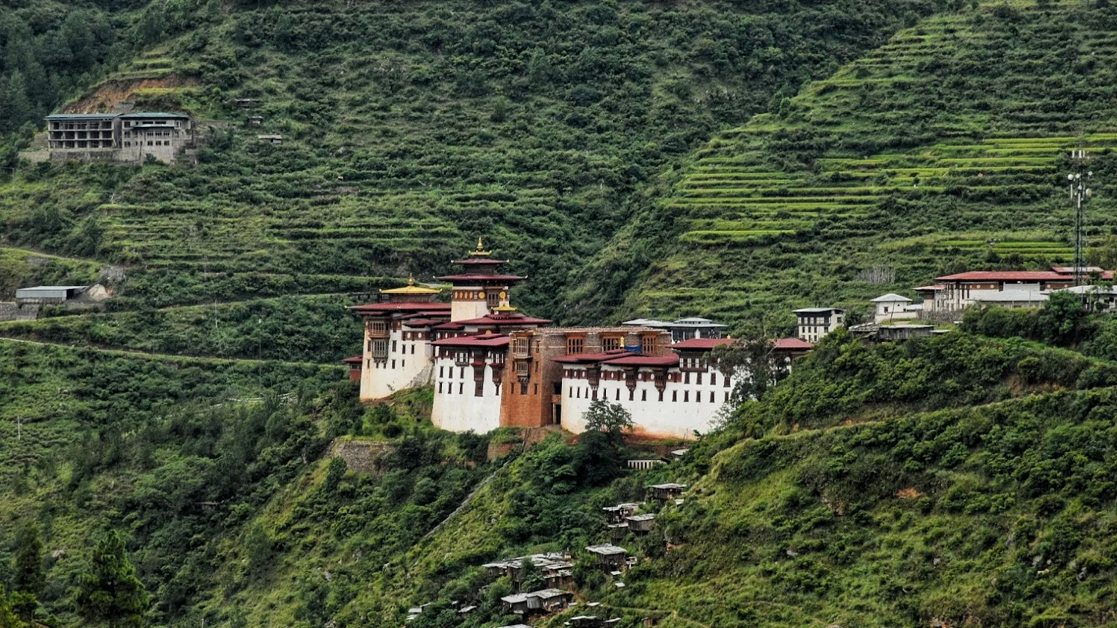 Wangdue