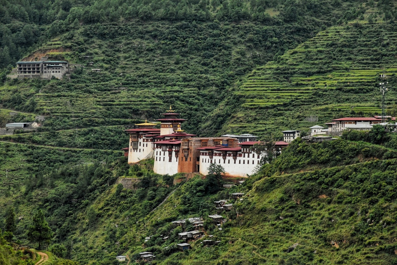 Wangdue