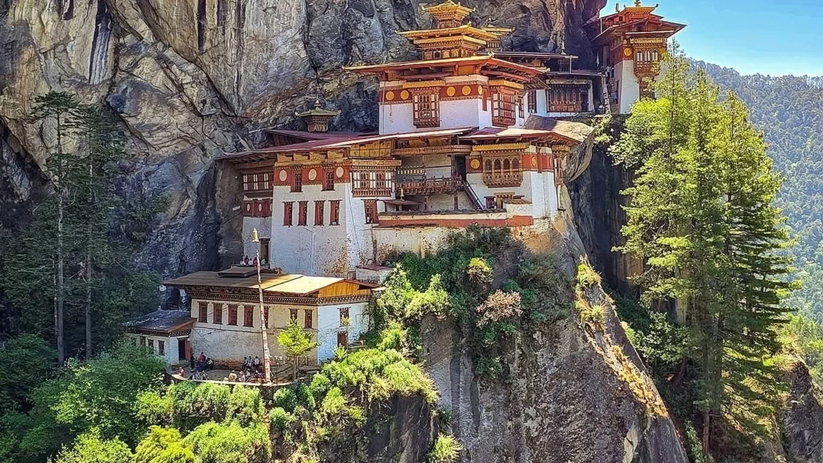 Paro