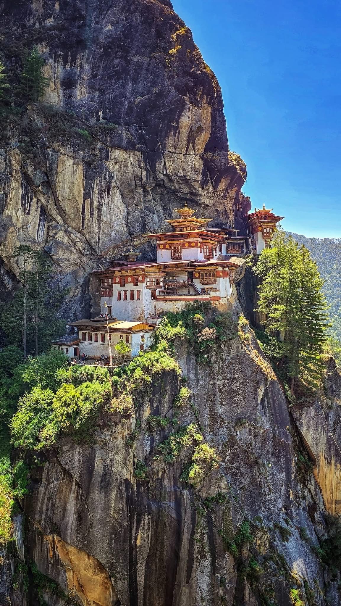 Paro