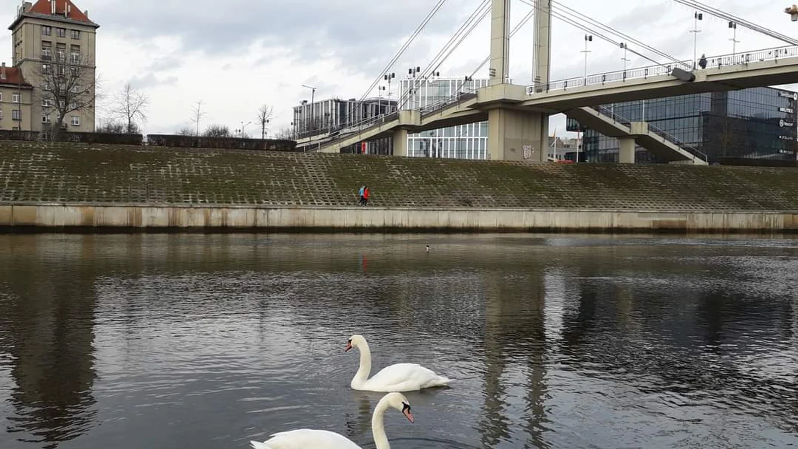 Kaunas
