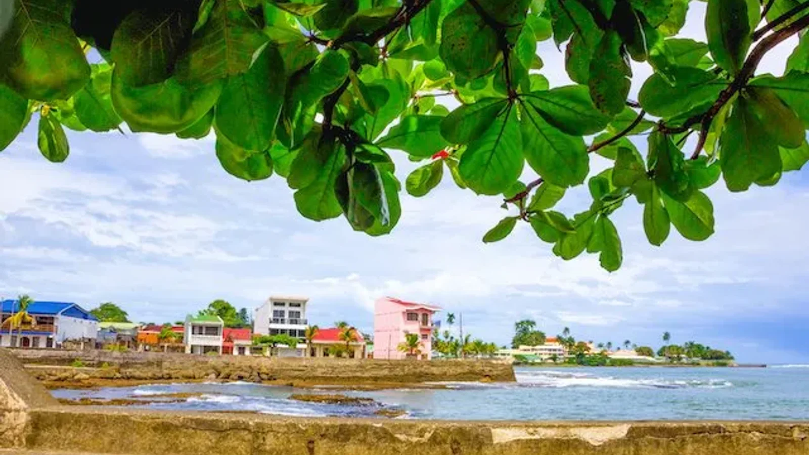 Shared Shuttle: Cahuita to Limon Airport