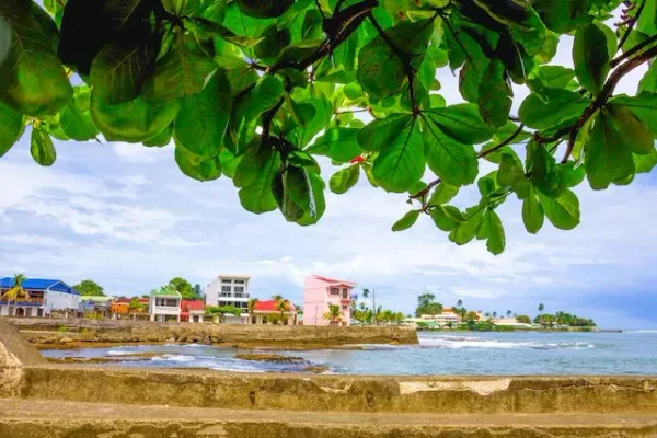 Shared Shuttle: Puerto Viejo to Limon Airport