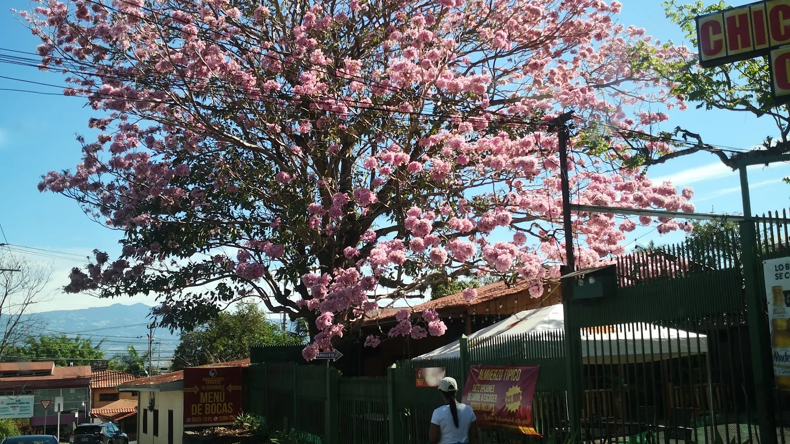 Escazu