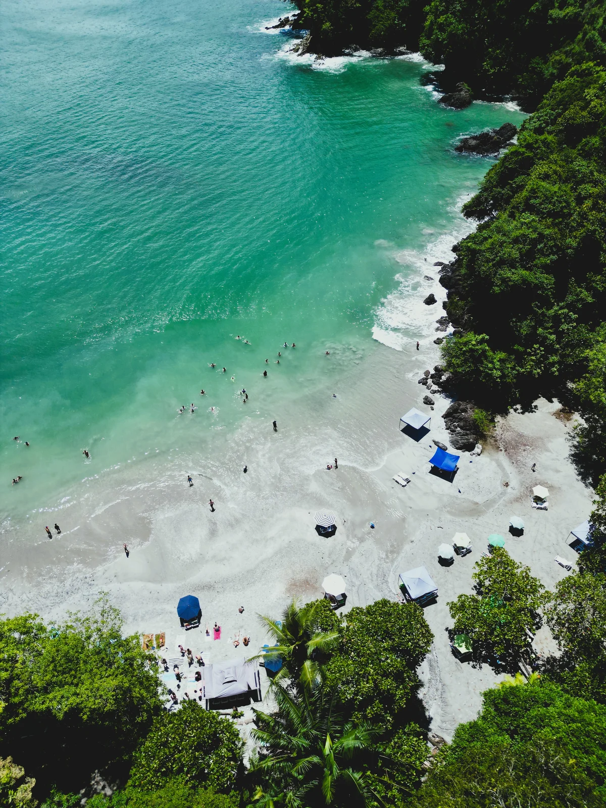 Aerial view of a tropical beach cove with turquoise water, swimmers, sun umbrellas and forested cliffs