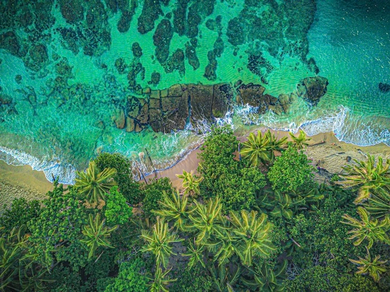 Aerial view of turquoise reef waters meeting a palm tree-lined tropical coastline