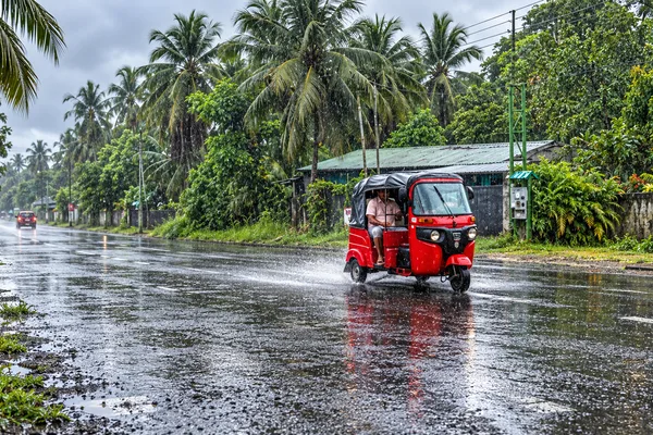 A red auto rickshaw drives down a wet road in the rain, lined with palm trees and a small roadside building