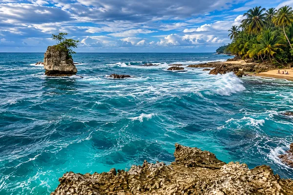 Turquoise waves crash against a rocky sea stack and palm-lined shore on Costa Rica's Caribbean coast