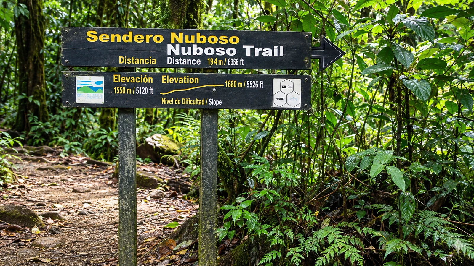 Wooden trail sign for the Nuboso Trail with distance and elevation details, surrounded by cloud forest greenery