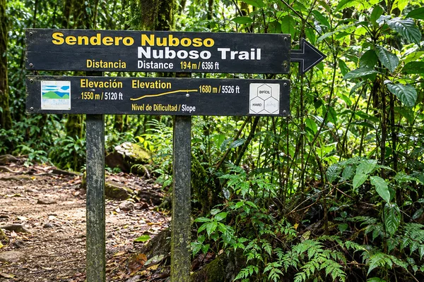 Wooden trail sign for the Nuboso Trail with distance and elevation details, surrounded by cloud forest greenery