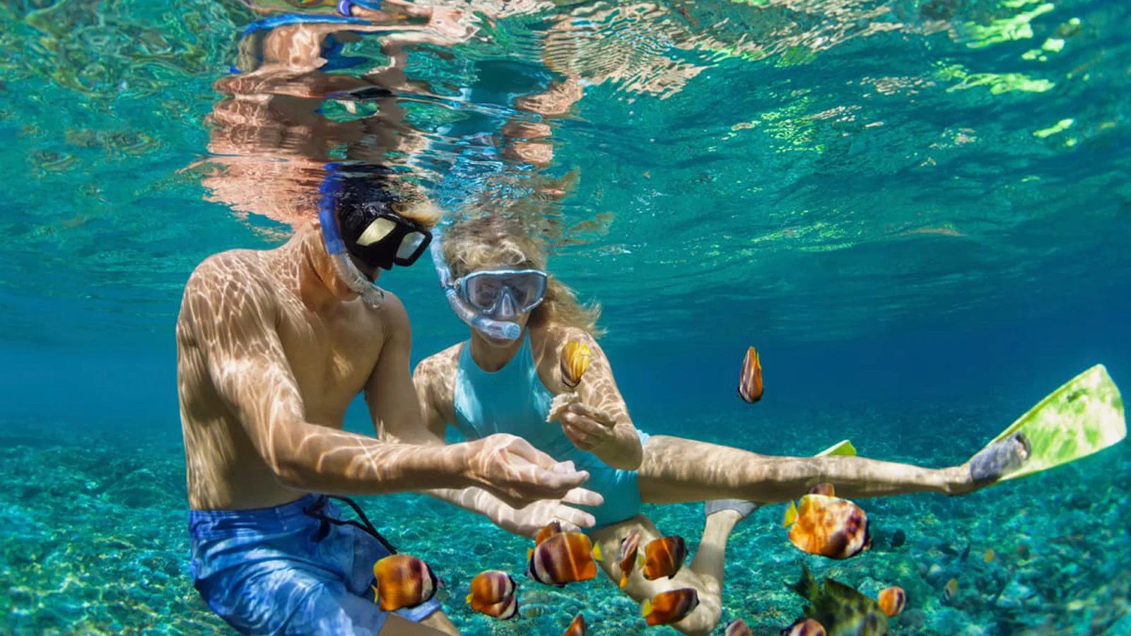 Tour de snorkel guiado desde Manzanillo
