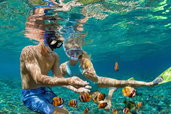 Tour de snorkel guiado desde Manzanillo