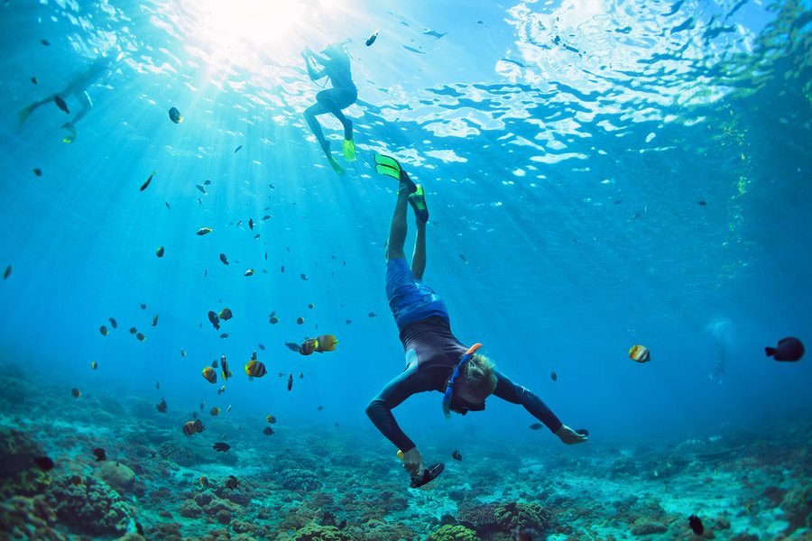 Tour de snorkel guiado desde Manzanillo