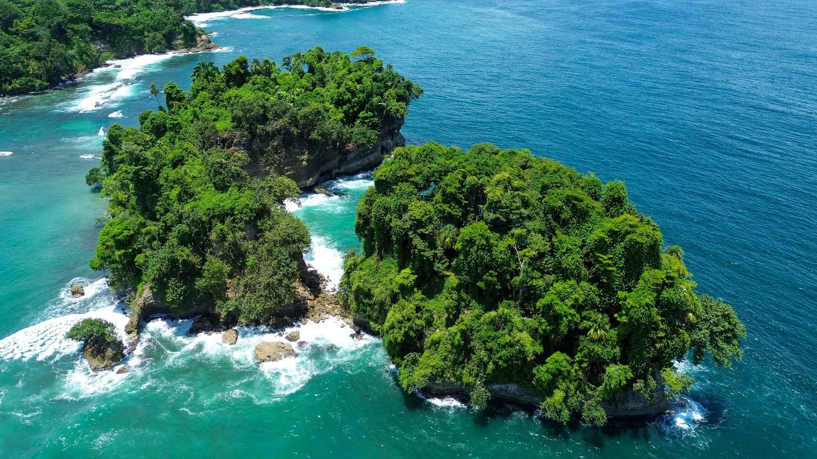 Viaje en lancha a Punta Mona y playas cercanas