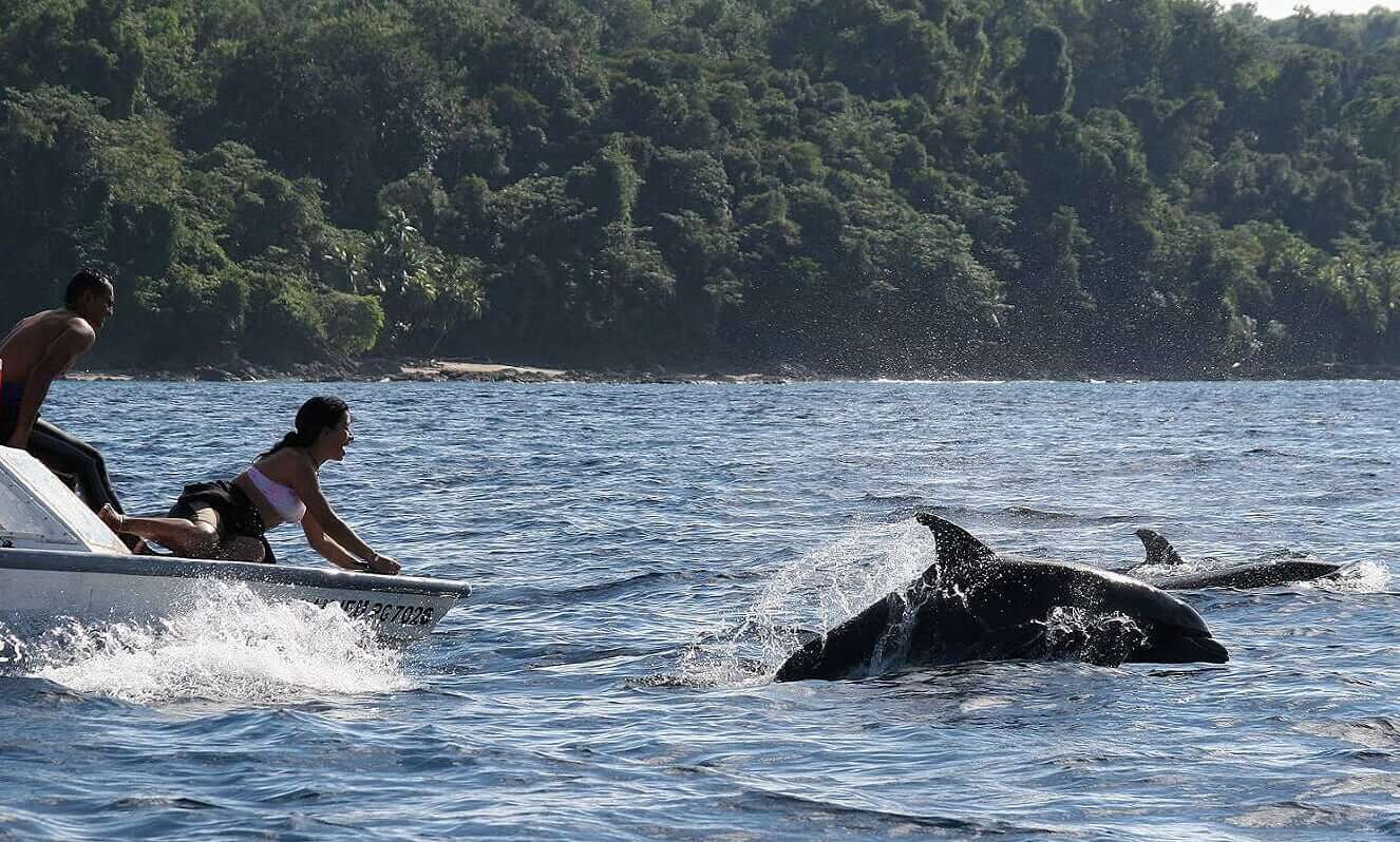 Excursió en vaixell per veure dofins des de Manzanillo