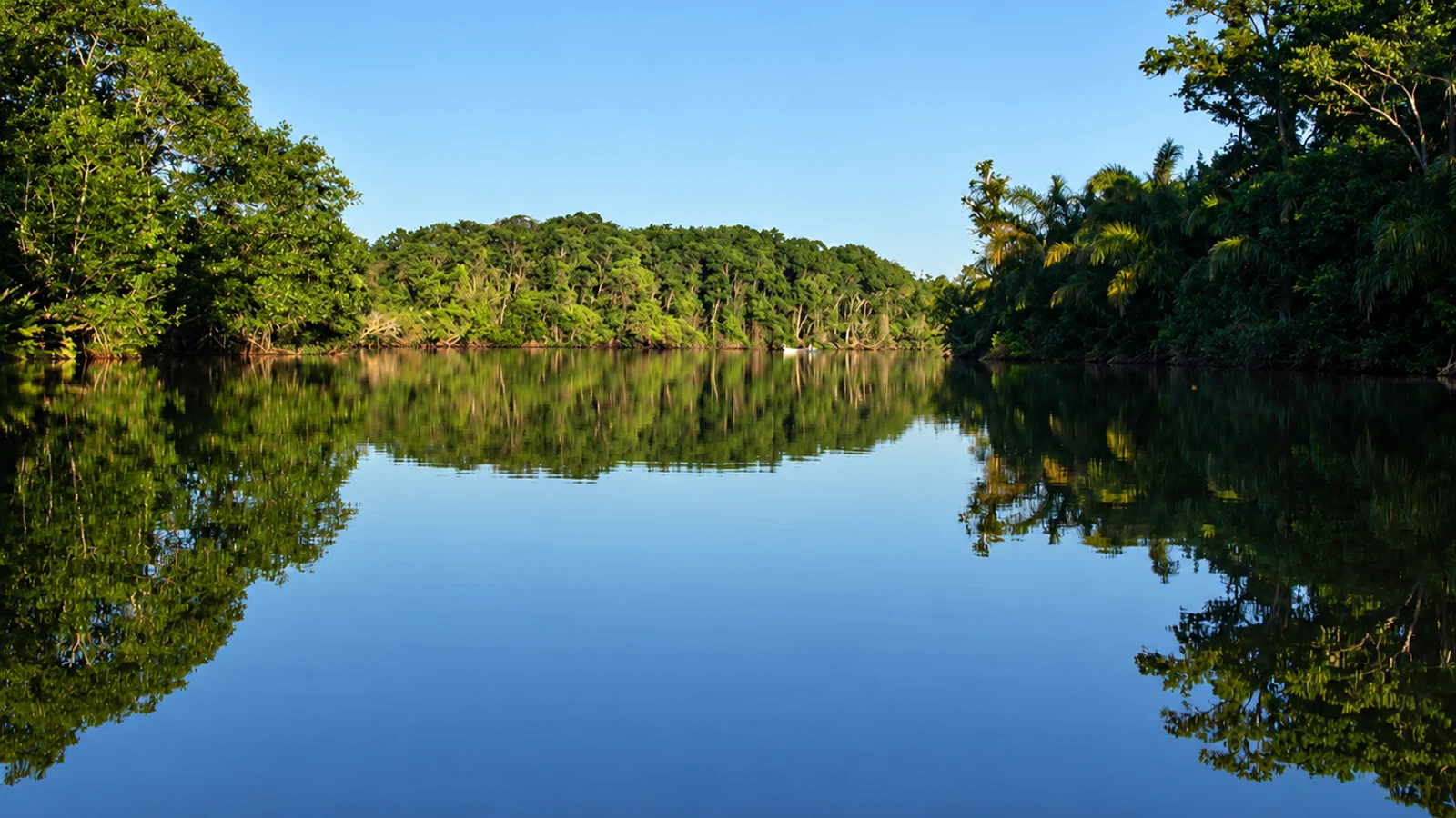 Tour en lancha por la laguna de Gandoca
