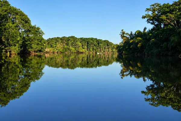 Tour en lancha por la laguna de Gandoca