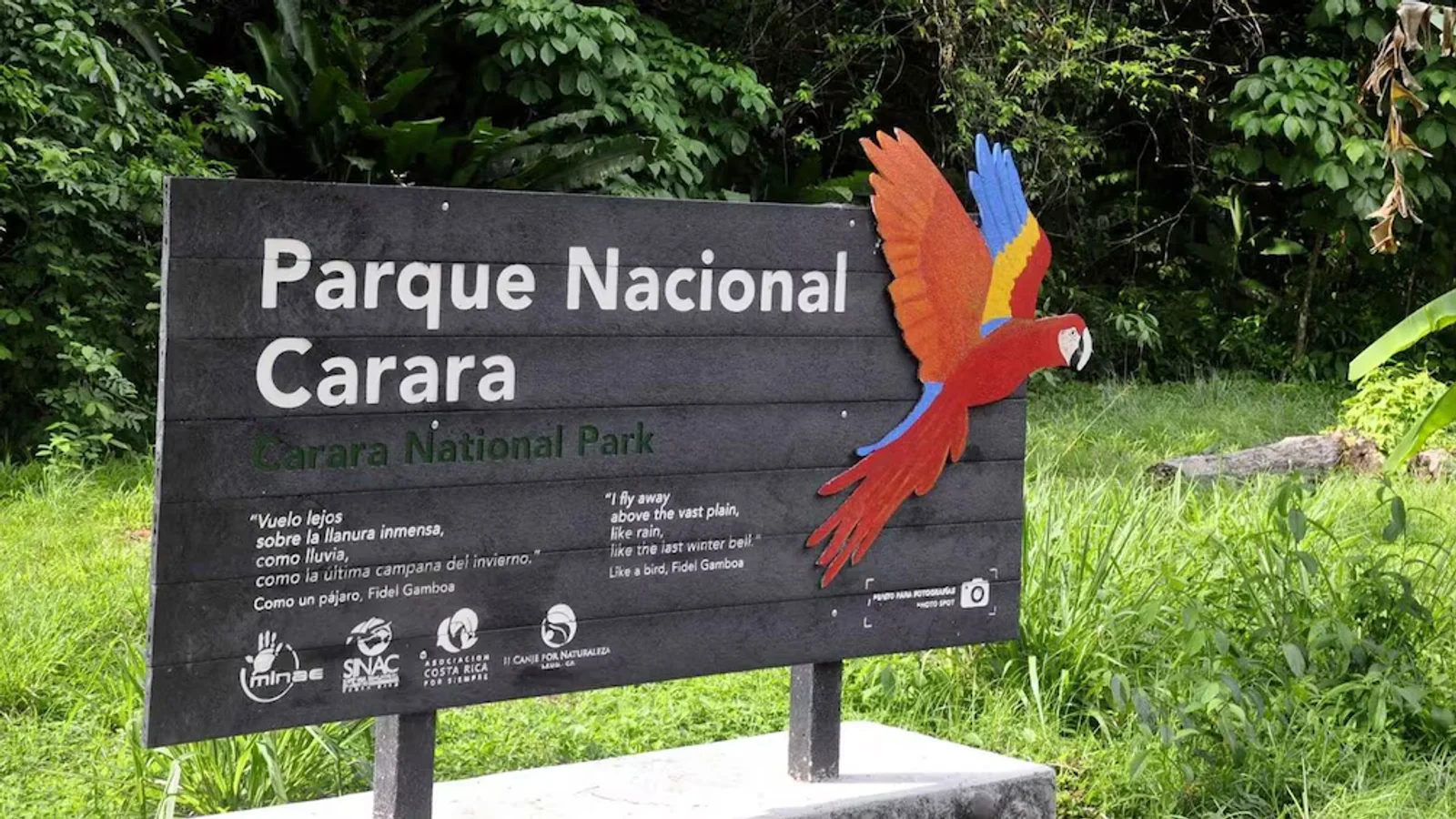 Entrance sign for Carara National Park with a colorful scarlet macaw decoration, surrounded by greenery