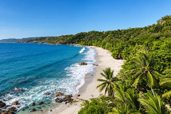 Aerial view of a curved sandy beach with turquoise waves, rocky shoreline, and palm trees along a forested coastline