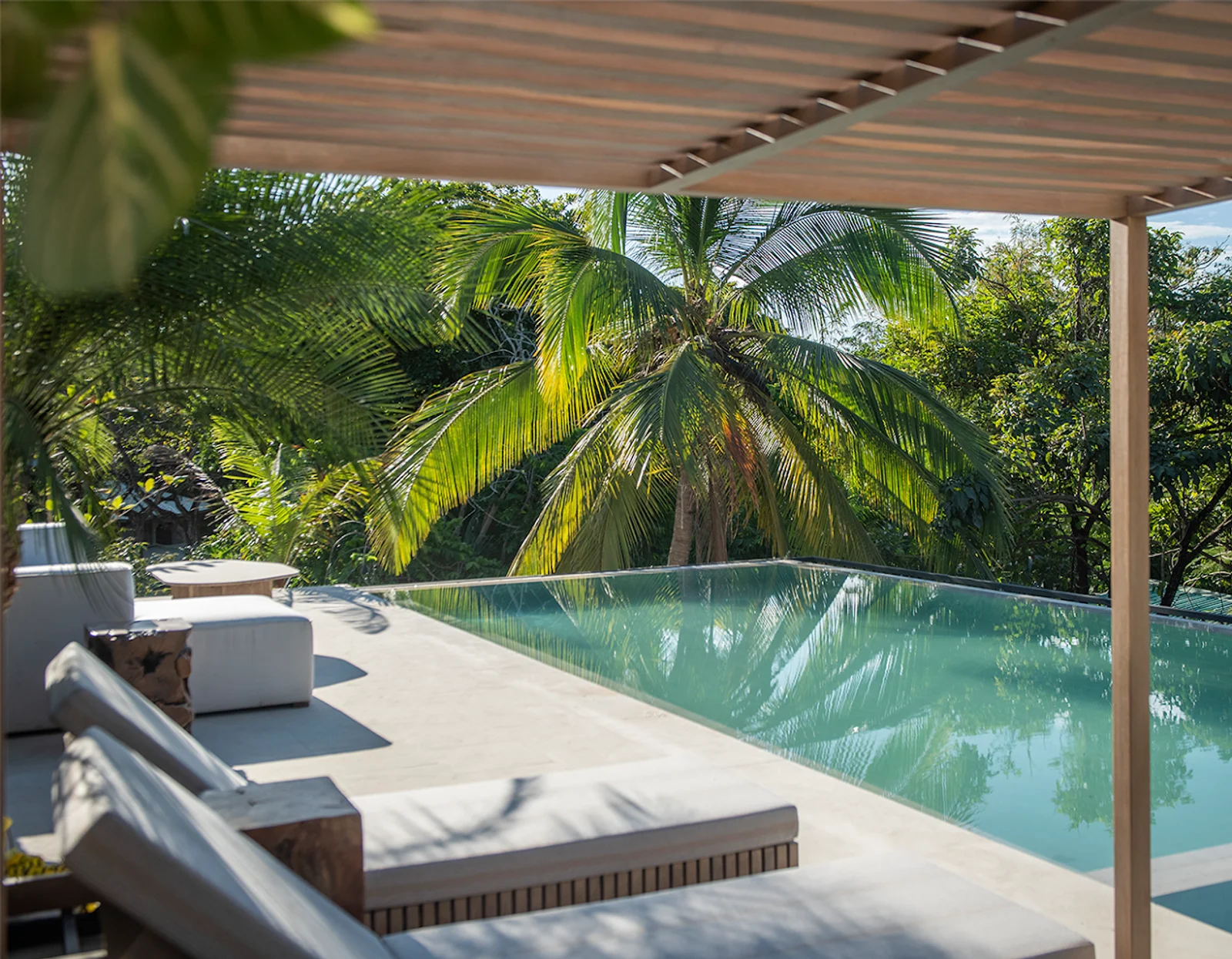 Infinity pool with loungers under a wooden pergola, surrounded by palm trees and jungle