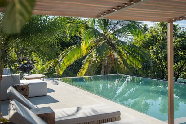 Infinity pool with loungers under a wooden pergola, surrounded by palm trees and jungle