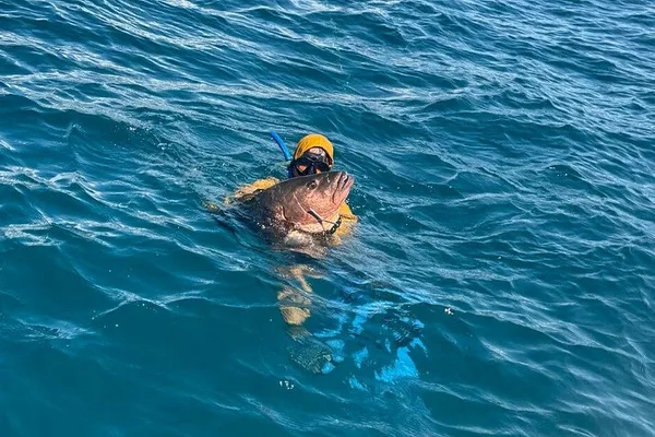 Pesca submarina privada de medio día en arrecifes de Manuel Antonio