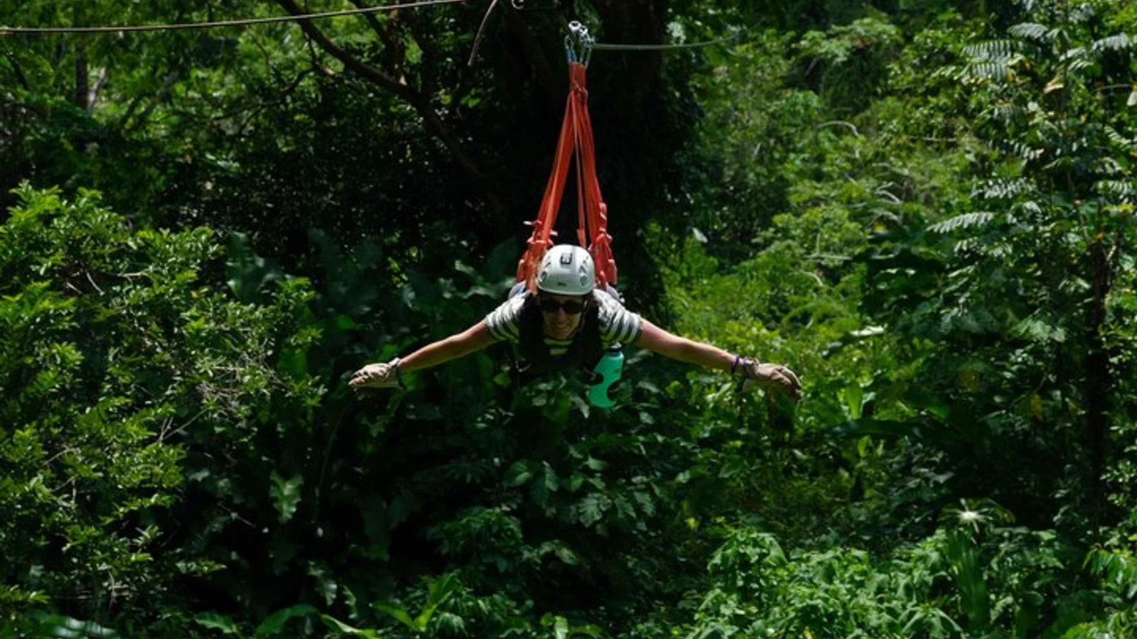 ¡Lleva tu adrenalina al máximo con nuestro tour de canopy!