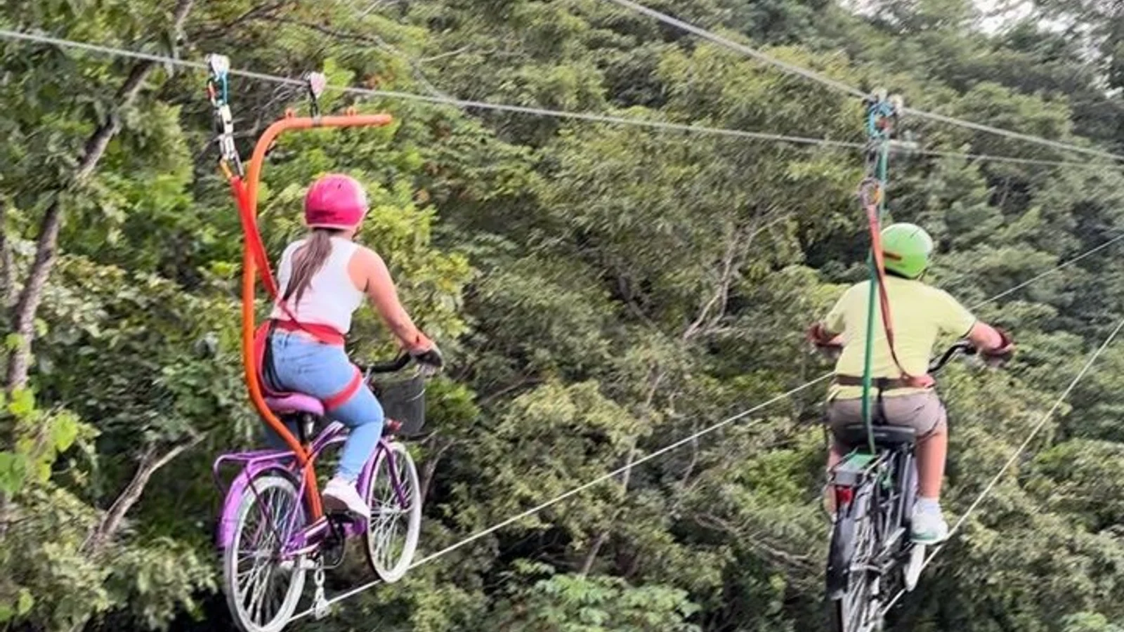 Vuela por el cielo: épico tour de canopy en bicicleta