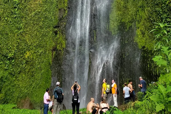 Tour de un día en Ometepe: catarata, kayak y atardecer