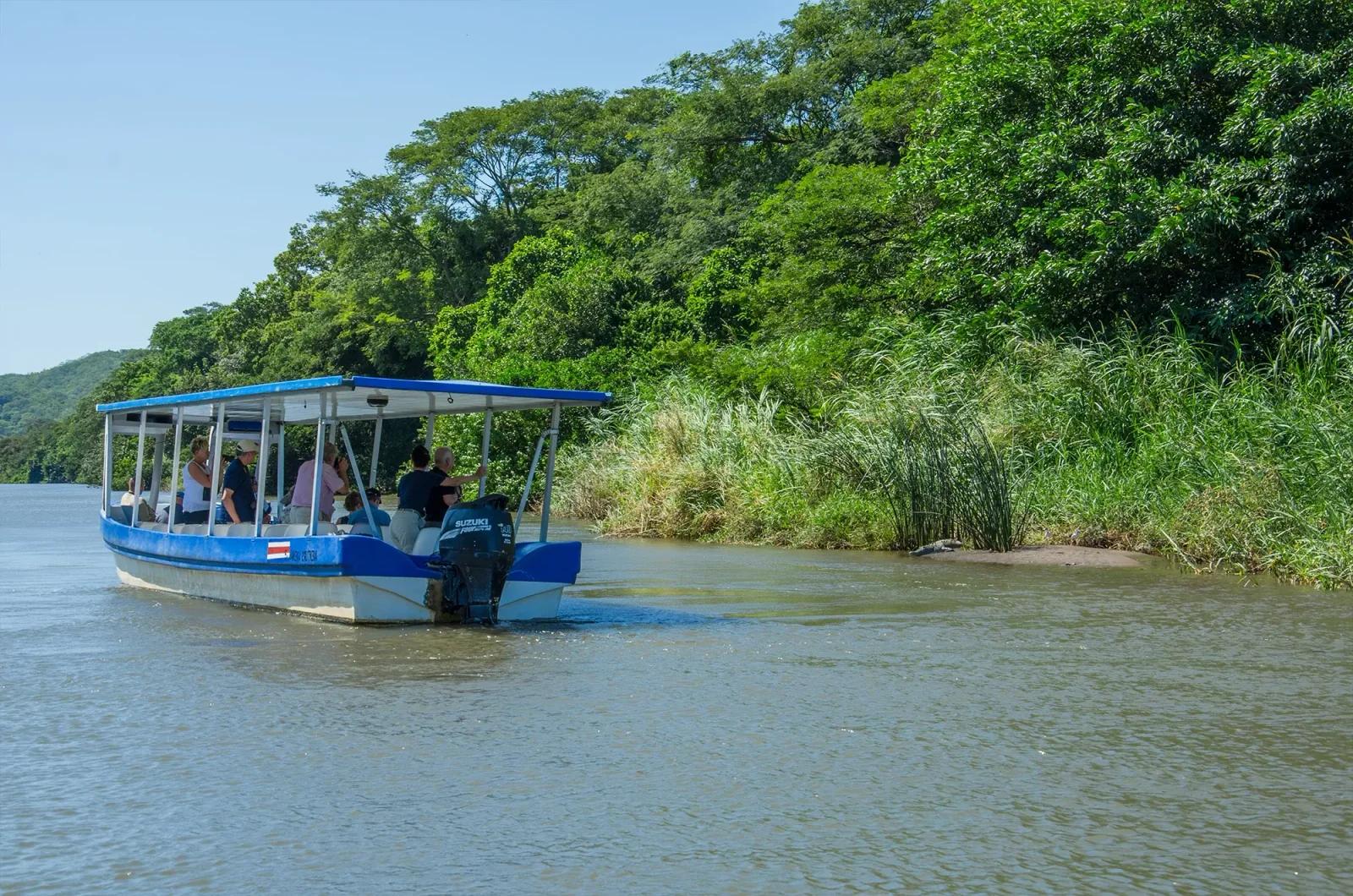 Tour boat with a blue canopy carrying passengers along a river lined with dense trees and reeds