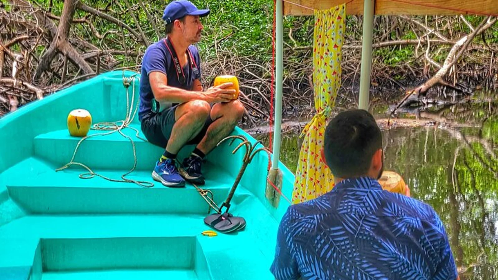 Turtle Release and Mangroves Cruise