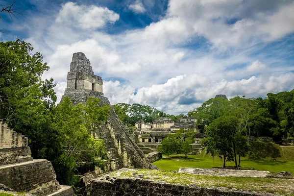 Excursión de un día a Tikal en avión desde Ciudad de Guatemala con almuerzo