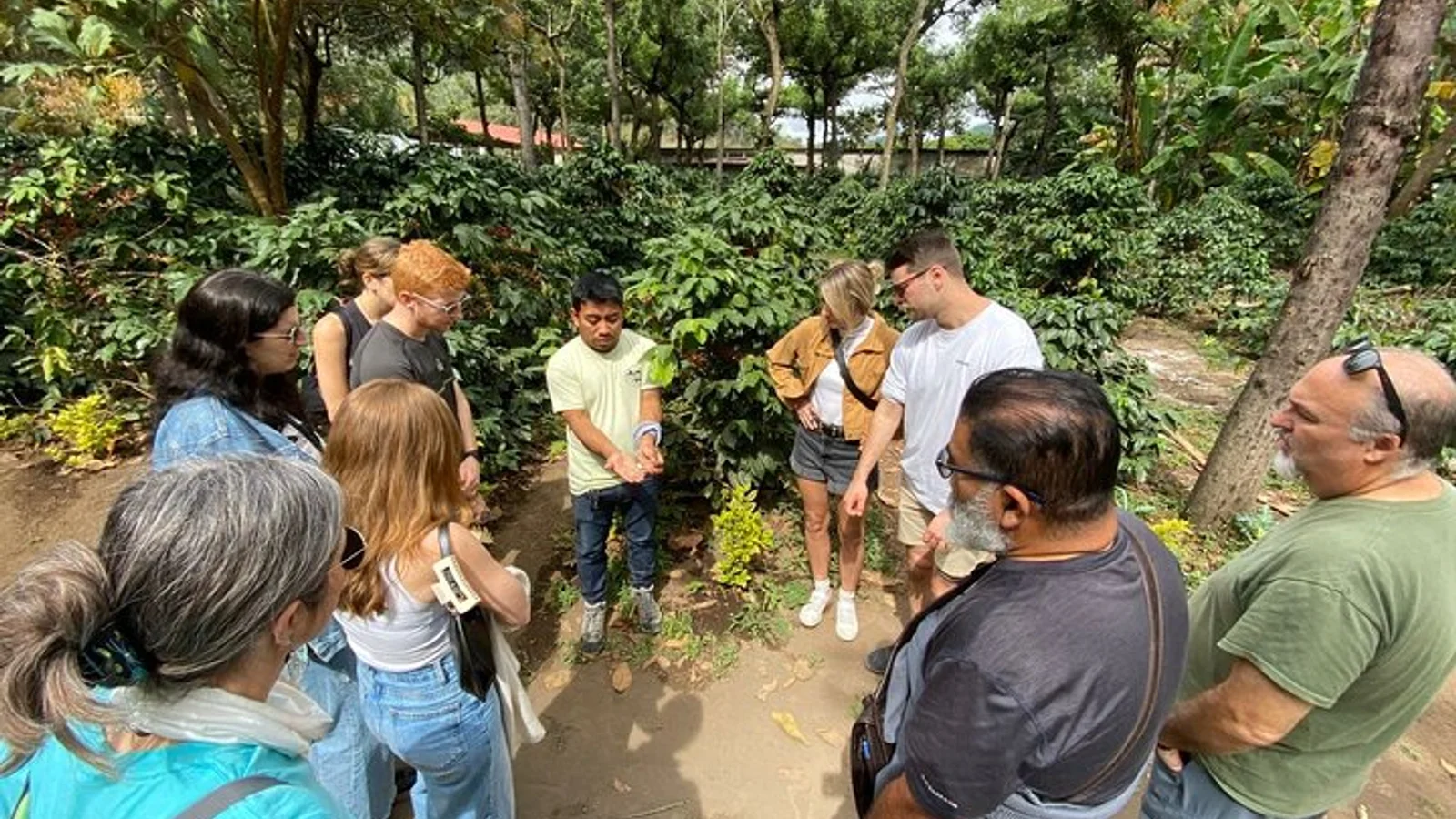 Antigua ATV Coffee Tour