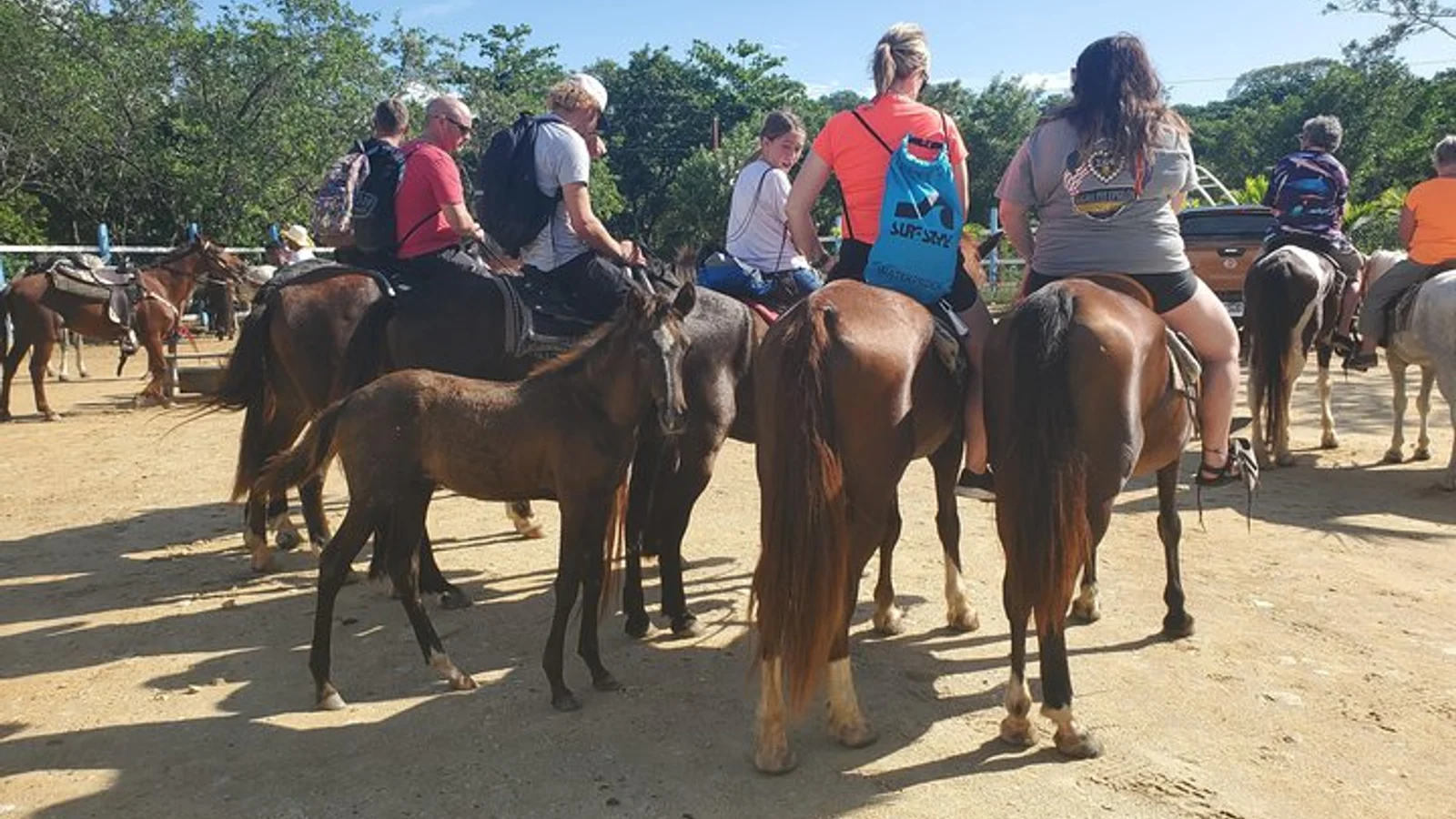 Roatan Excursion: Horseback Ride / Sloths park / Snorkel With Beach Break