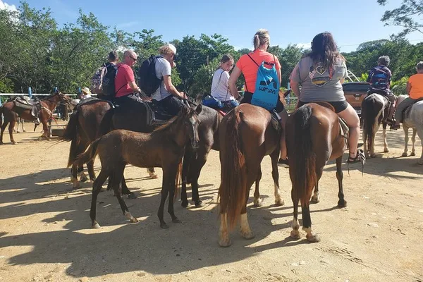 Excursión en Roatán: paseo a caballo / parque de perezosos / esnórquel con descanso en la playa