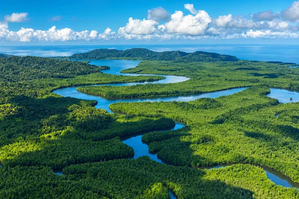 The Sierpe Mangroves: Worth a Morning, or Just the Ride to Drake Bay?