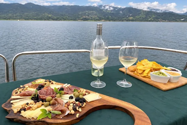Lake Arenal Premium Pontoon Cruise with Gourmet Board