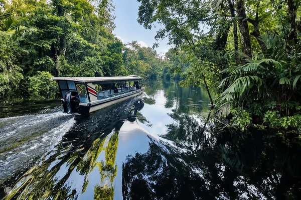 A covered tour boat cruises along a jungle river lined with dense green rainforest
