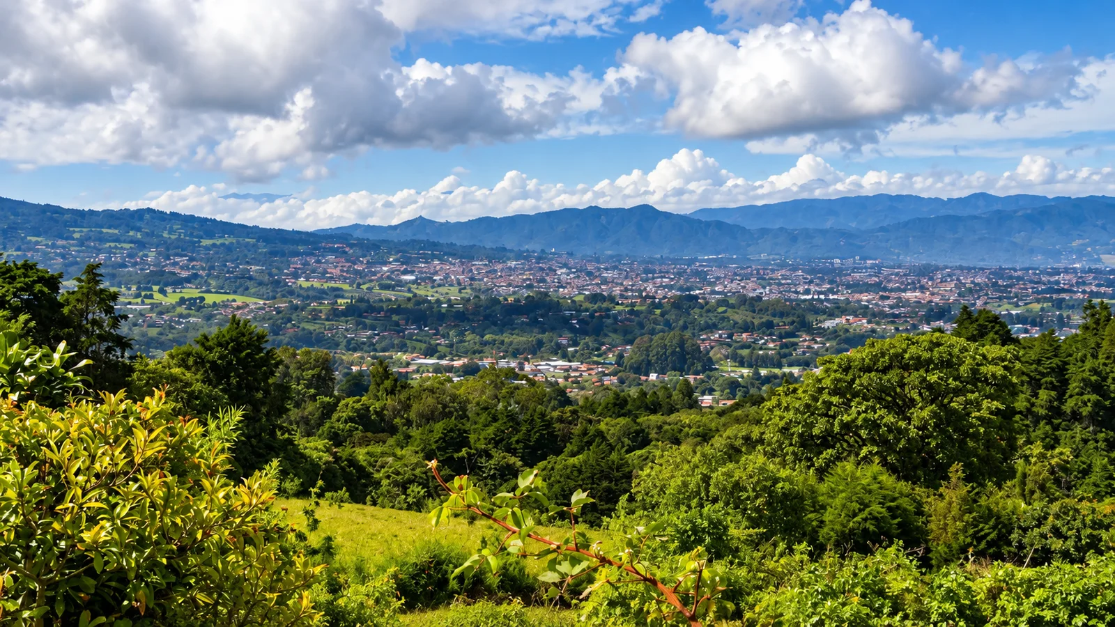 One Day Out of San Jose: Which Day Trip to Book, and the Cloud Nobody Mentions